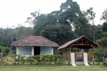 Coorg Pachibale Homestay